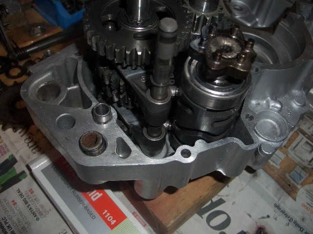 CIMG5524.JPG