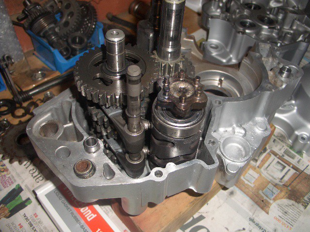 CIMG5520.JPG