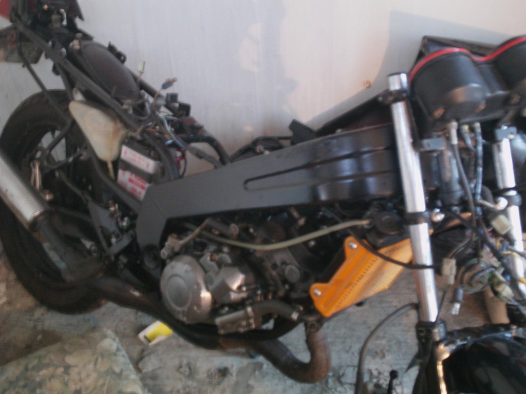 IMAG0203.JPG