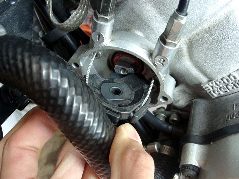 ypvs_clean25.jpg