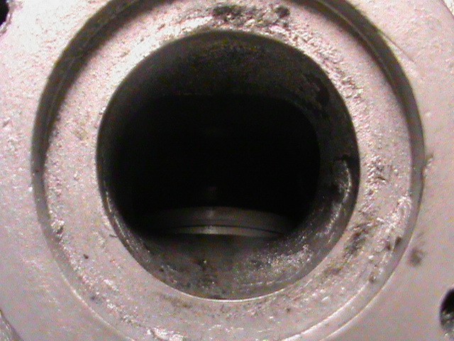 DSC01203.JPG