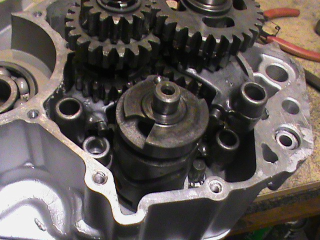 DSC01042.JPG
