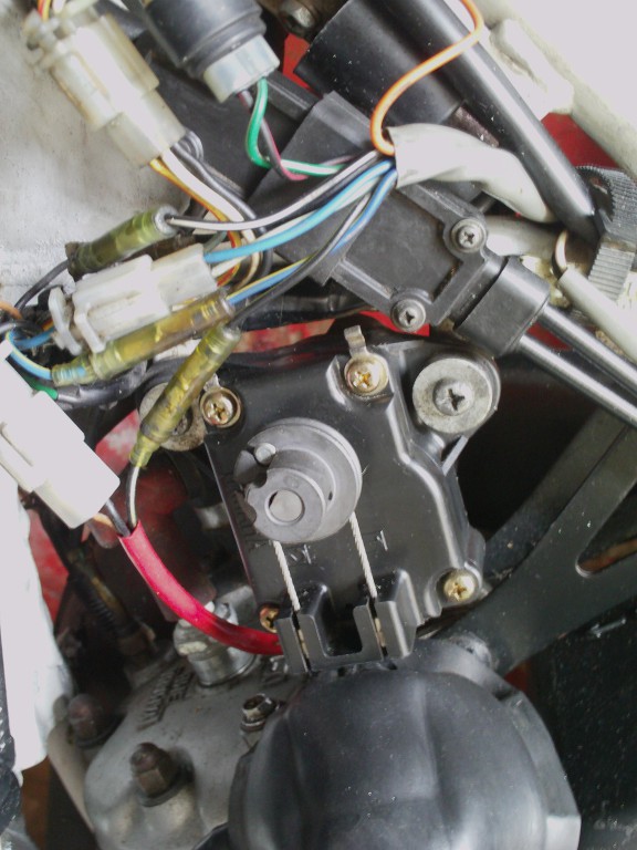 IMAG0738.JPG