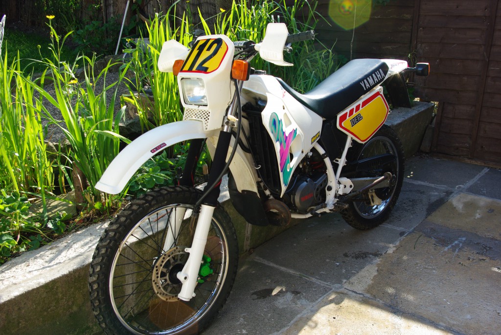 IMGP8145.JPG