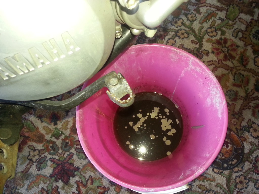 20150224_142634.jpg