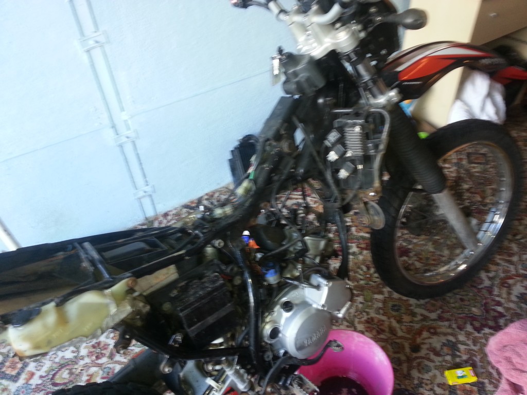 20150224_142619.jpg