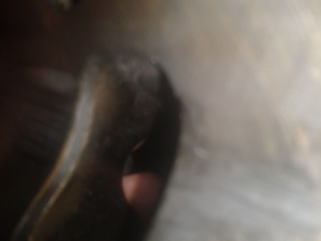 2011-01-01 02.46.33.jpg